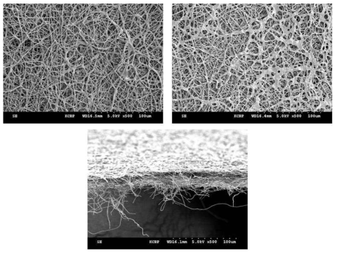 폴리이미드 Nano-web SEM 사진(X500, 좌측 위부터 시계방향으로 전면/이면/단면)