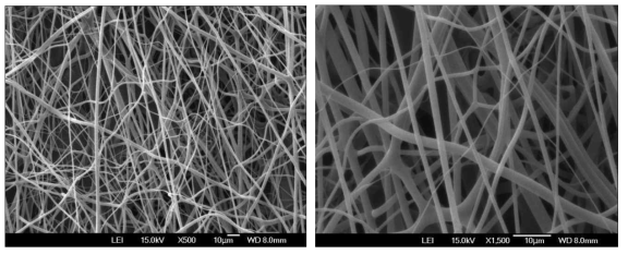 폴리이미드 Nano-web 지지체의 SEM 관찰 결과