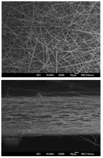 T-1 원료를 사용한 지지체의 SEM 사진 (상 : 표면, 하 : 단면)