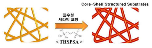 친수성 세라믹 지지체 개발의 모식도