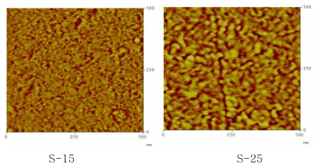 고밀도 술폰화 이온전도체의 AFM측정결과