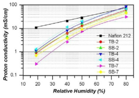 멀티 블록 공중합체의 상대습도에 따른 수소이온전도도