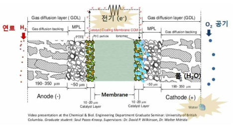수소연료전지 내 이온전도성 고분자 멤브레인의 작동 원리 모식