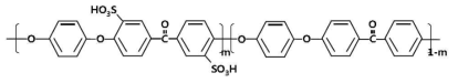 Sulfonated poly(ether ether ketone)(SPEEK)