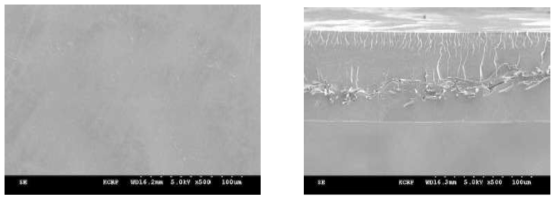 강화복합막의 SEM 사진 (좌 : 표면, 우 : 단면)