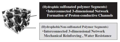 JSR사의 탄화수소계 고분자 전해질막의 구조적 특징