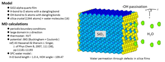 Molecular dynamics models for water vapor permeation using realistic interaction between silica and water molecules.