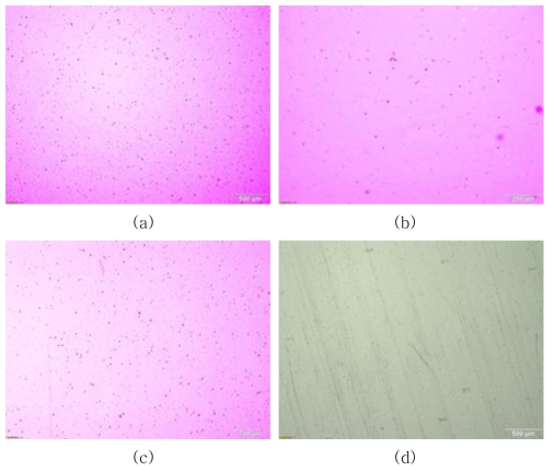 R2R wet coating film 및 단층 기체차단막의 현미경 사진