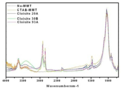 FT-IR spectra of Organoclay