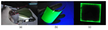 유연성 기판위에 제작된 (a) FOLED 소자와 (b) FOLED 소자의 광발광(Photoluminescence), 그리고 (c) 전기발광 사진
