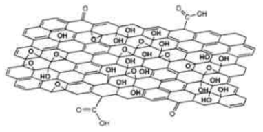 Graphene Oxide의 모식도