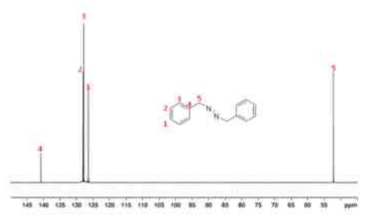 13C-NMR 분석 결과