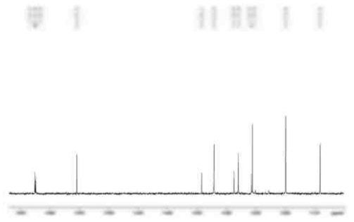 13C-NMR 분석 결과