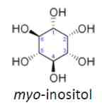 TiO2 입자의 유기분산성 향상을 위해서 myo-inositol로 기능화된 titania나노입자