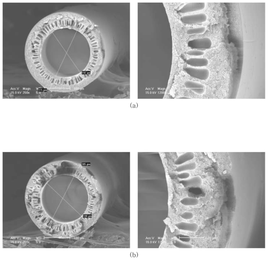 Matrimid 5218(M-1)의 SEM Images, (a) air-gap=10㎝, (b) air-gap=15㎝, bore fluid: 100% water