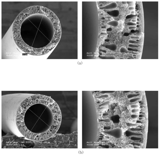 Matrimid 5218(M-2)의 SEM Images, (a) air-gap=10㎝, (b) air-gap=15㎝, bore fluid: 100% water