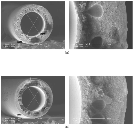 Matrimid 5218(M-3)의 SEM Images, (a) air-gap=10㎝, (b) air-gap=15㎝, water/NMP=90/10