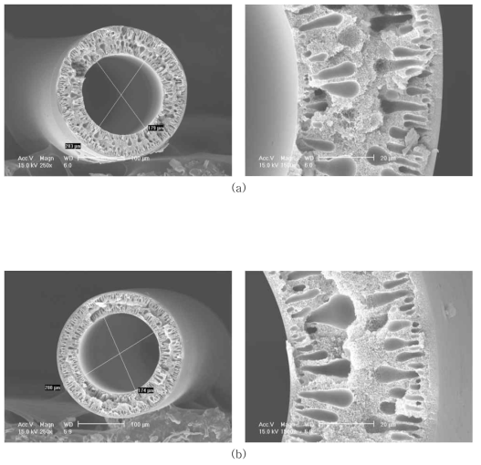 Matrimid 5218(M-4)의 SEM Images, (a) air-gap=10㎝, (b) air-gap=15㎝, water/NMP=95/5