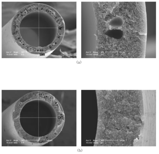 Matrimid 5218(M-5)의 SEM Images, (a) air-gap=15㎝, 100% water (b) air-gap=15㎝, water/NMP=50/50