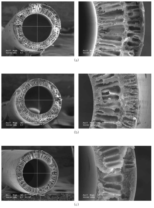 AK-PI-011-2의 SEM Images, (a) air-gap=10㎝, (b) air-gap=15㎝, (C) air-gap=20㎝