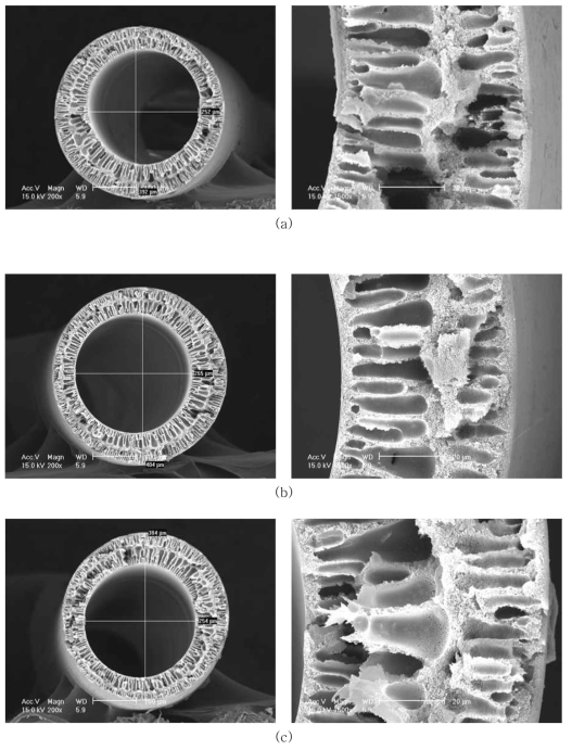 AK-PI-011-3의 SEM Images (a) air-gap=10㎝, (b) air-gap=15㎝, (C) air-gap=20㎝