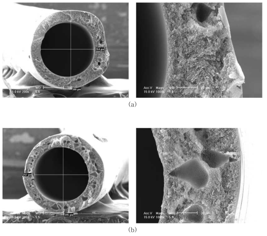 AK-PI-011-5의 SEM Images, (a) air-gap=10㎝, (b) air-gap=15㎝