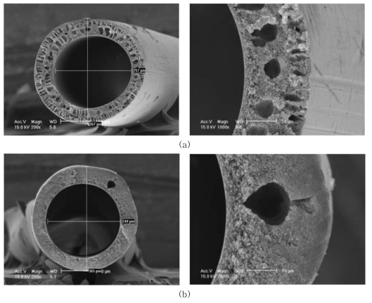 AK-PI-011C 의 SEM Images, (a) AK-PI-011C-6 (b) AK-PI-011C-7