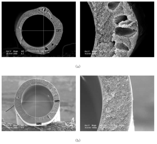 AK-PI-011C 의 SEM Images (a) AK-PI-011C-8 (b) AK-PI-011C-9