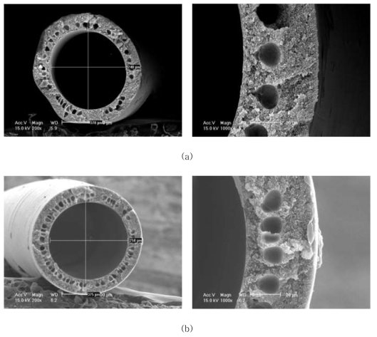 AK-PI-011C 의 SEM Images, (a) AK-PI-011C-10 (b) AK-PI-011C-11