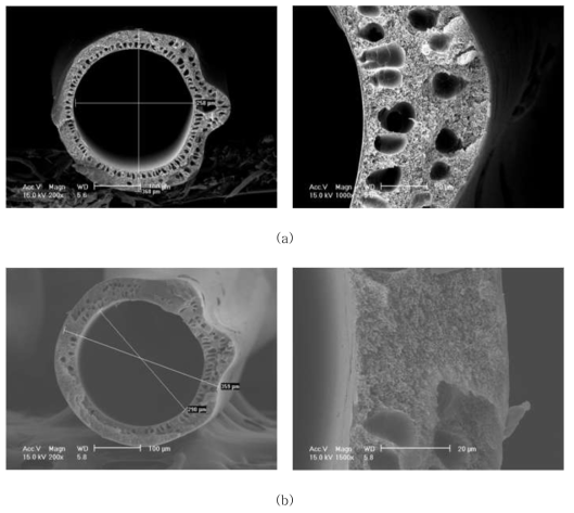 AK-PI-011C 의 SEM Images, (a) AK-PI-011C-12 (b) AK-PI-011C-13