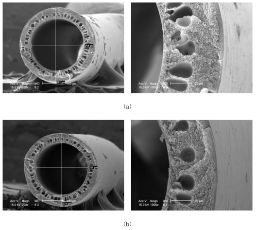 AK-PI-011C 의 SEM Images, (a) AK-PI-011C-14 (b) AK-PI-011C-15