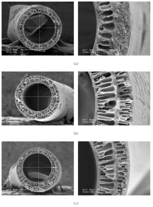 AK-PI-011C 의 SEM Images, (a) AK-PI-011C-16a (b) AK-PI-011C-16b (c) AK-PI-011C-16c