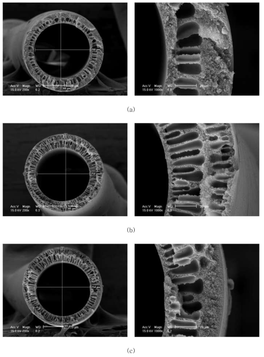 AK-PI-011C 의 SEM Images, (a) AK-PI-011C-17 (b) AK-PI-011C-18 (c) AK-PI-011C-19