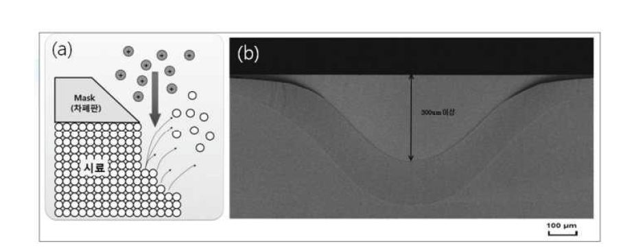 (a) 단면 이온밀링 전처리 방법과 (b) 실제 단면 이온 밀링 전처리된 시료의 SEM Image