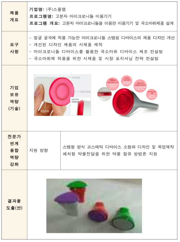 고분자 마이크로니들 미용기기 R&D 수행사항 요약