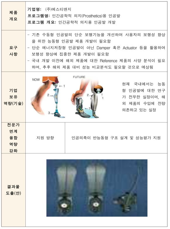 인간공학적 의지(Prosthetics)용 인공발 R&D 수행사항 요약