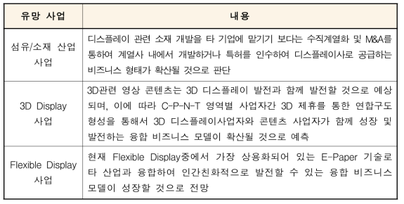 디스플레이 산업 유망 비즈니스 모델