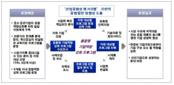 융합형 기업역량강화 서비스 프로그램 추진 프로세스