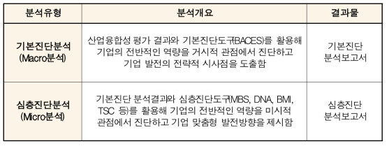 기본진단과 심층진단의 분석개요 및 결과물