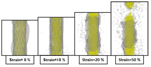 그래핀 코팅된 Silicon Nanowire 구조의 z축방향으로의 strain에 따른 구조변화.