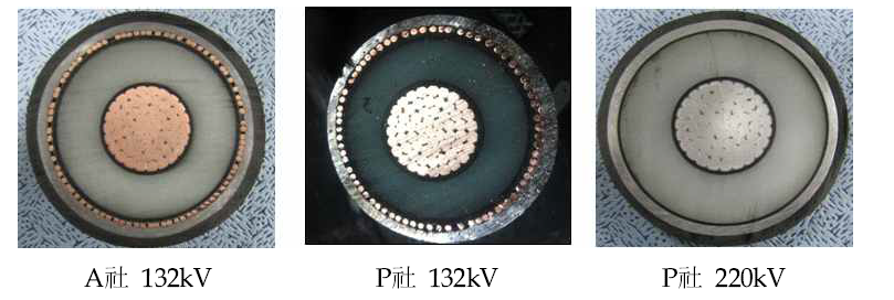 해외 선진 초고압 케이블 구조 검사