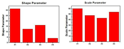 AC BD Data(구대구) Shape 및 Scale Parameter 비교