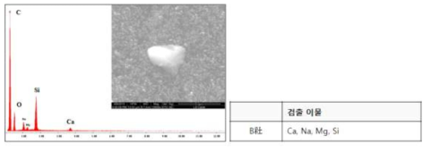 B社 컴파운드 SEM & EDS 분석 data