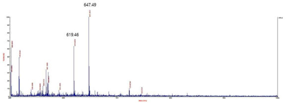 합성된 olive 색재의 MALDI-TOF-MS 스펙트럼