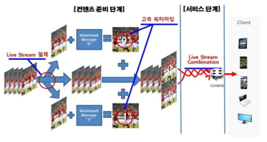 비디오 프레임별 워터마킹 처리 흐름