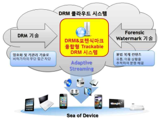 DRM 클라우스 서비스