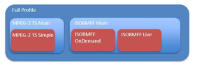 MPEG-DASH Profile 구성