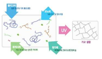 UV 경화형 코팅의 가교