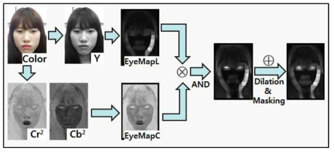 Eye Map 생성 과정