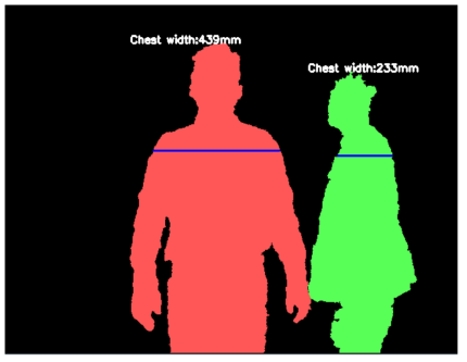 식(4)의 관계식에 의해 측정된 인체의 가슴부위 길이